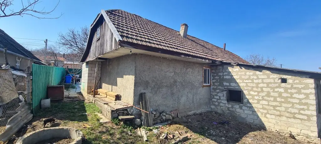 sindrila bituminoasa calarasi