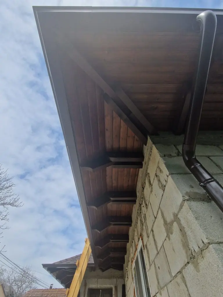 sindrila bituminoasa calarasi